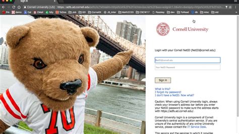 Most international students in on-campus courses will need an F-1 student visa to study at Cornell. . Cornell netid